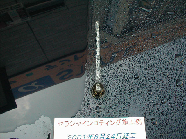 �Z���V���C���R�[�e�B���O�O��